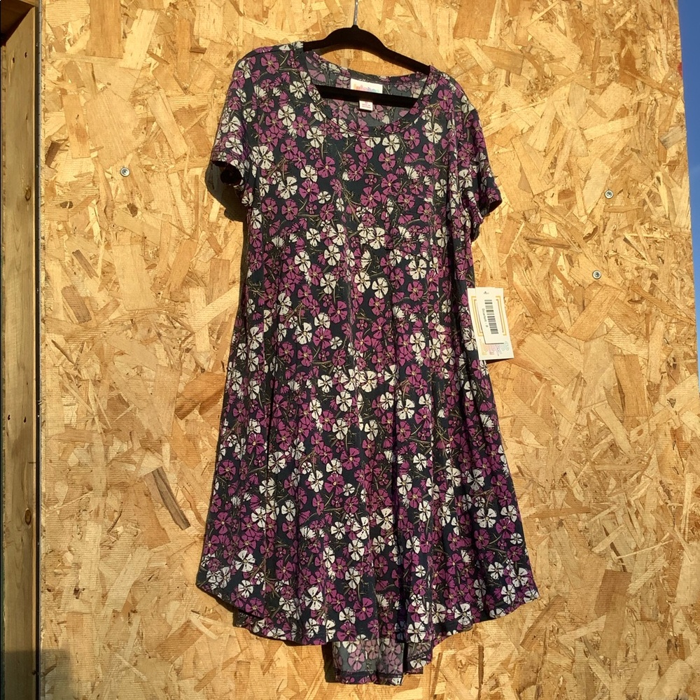 NWT Lularoe Scarlett Dress (size 8, like new)